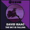 The SKY Is Falling (Bardia F Deeper Remix) - David Isaacs