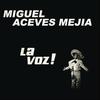 Los Camperos - Miguel Aceves Mejia