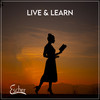 Live & Learn - Escher