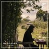 we'll be fine - Mahogany Sessions (Mahogany Sessions) - Luz