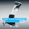 Lost Souls(FYH071) (Radion6 Remix) - Assaf&Nathan Nicholson