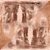 Bionic Chronic (Lucchii Remix) - Psymbionic&Lucchii