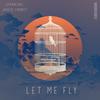 Let Me Fly - David Correy