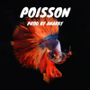 Poisson - Anarky