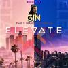 Elevate (feat. T-Man SA & Dj Chase) - Gin&T-Man SA&DJ Chase