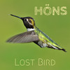 Lost Bird - 黄志豪