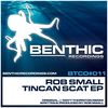Tincan Scat (Matt Thornton Remix) - Rob Small&Matt Thornton