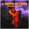 A Gente Se Testa (Explicit) - Macaia&Pump Killa&Gustavo Iyzis&Korvo&Raggnomo&Jimmy Luv