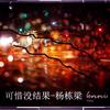 可惜没结果 (伴奏) - 杨栋梁