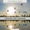 Honky Tonk - The Beach Boys