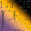 Promiscuous (Peredel Remix) - Barchi&Peredel