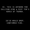Tremor (Sullivan King & Riot Ten Remix) - Dimitri Vegas & Like Mike&Martin Garrix&Sullivan King&Riot Ten