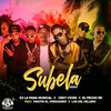 Subela (Remix) - K2 la para Musical&Ceky Viciny&El Fecho RD&Los Del Millero&Pakitin El Verdadero