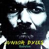 Whip Dem, Whip Dem - Junior Byles