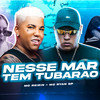 Nesse Mar Tem Tubarão (Explicit) - Mc Reizin&Ryan SP