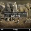 Elephants - Freaky DJs&Markhese