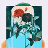 Idlewild - Bela
