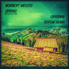 Spring (BDTom Remix) - Norbert Meszes&BDTOM