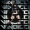 Going Crazy (Remix Radio Edit) - Vindicci