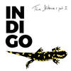 The Last Romantic Boy on Earth - Indigo