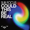 Could This Be Real (Joker Remix) - Sub Focus&JOKER