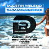 Summerbreeze (X2Face Extended Remix) - Martin Weleno&X2face