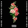 Sentimental Mood (feat. Hntr Jmz) (Explicit) - Tru-Barz&Hntr Jmz