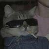 Aquecimento Senta Senta - DJ EDUARDO REMIX