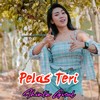 Pelas Teri - Shinta Gisul