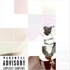 Violence in the Domestic (Explicit) - Bizzy Balboa