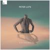 Anybody - Peter Luts