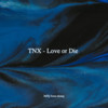 Love or Die (cover: THE NEW SIX (TNX)) - itskellyw&