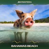 Bahamas Beach (Saxy Mix, 24 Bit Remastered) - Jim Pantera