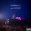NORMALLY (feat. LERRY) - Suzain Jay&LERRY