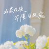 山茶花读不懂白玫瑰 (吉他版) - 柯柯柯啊