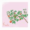 Fruits - Karen