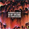 In My Dreams - Besomorph&Gidexen&Stephen Geisler