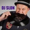 Krokodila - dj slon&Lili