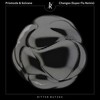 Changes (Super Flu Remix) - Prismode&Solvane&Max Joni