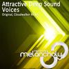 Voices (Original Mix) - Attractive Deep Sound