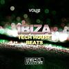 The Rhythm (Mitekss Remix) - Mr. Guelo