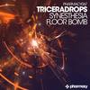 Synesthesia (Original Mix) - Triceradrops
