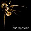 Dragonfly - The Project
