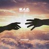 Heaven on Earth - QuestionQ&Ballad