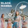 Black Mamba - JANGHEUMYE&dRicky&KYeon凯妍&Sera.赫赫