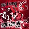 Herzschlag (Tmgk Remix) - Cris Cosmo&Hochanstaendig