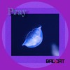 Pray - BadCat-Official
