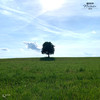 Brush Strokes - Roesselsprung