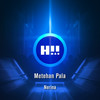 Nerina (Original Mix) - Metehan Pala