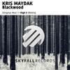 Blackwood (High 5 Remix) - Kris Maydak